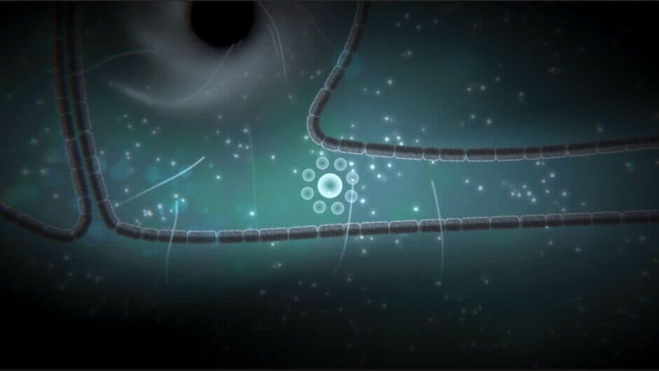 Скриншот 4 из Focus Find