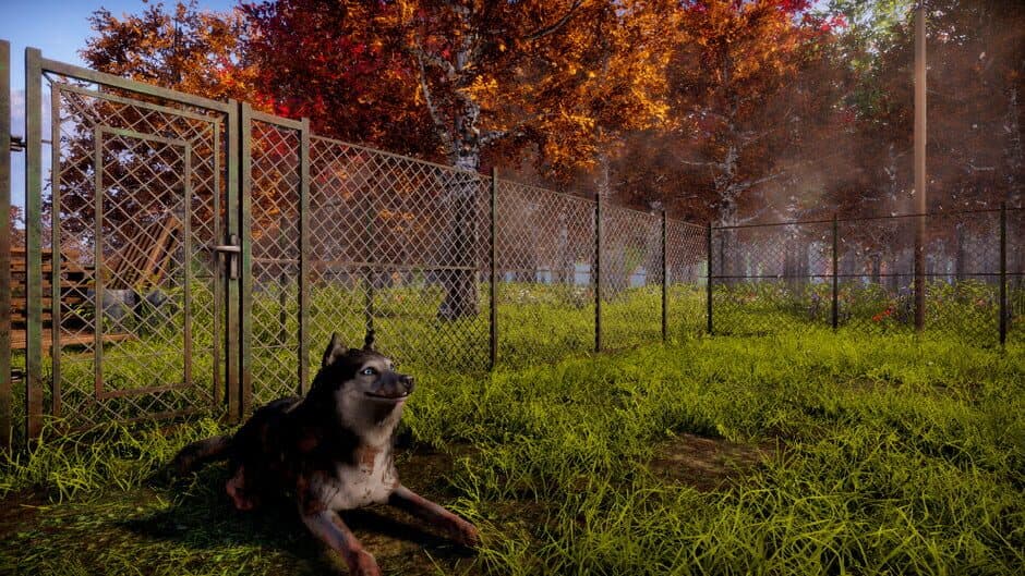 Скриншот 1 из Animal Shelter 2
