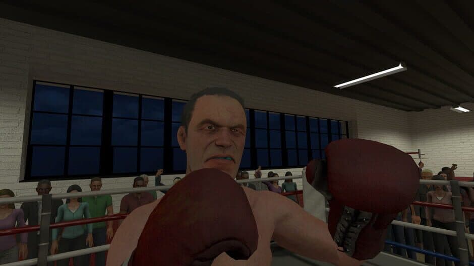 Скриншот 3 из The Thrill of the Fight