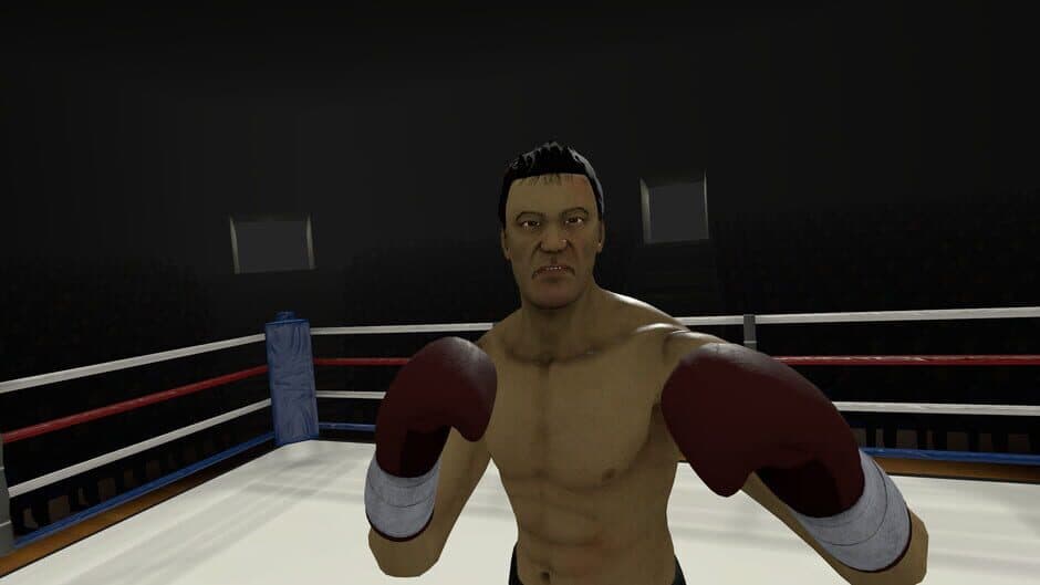 Скриншот 4 из The Thrill of the Fight