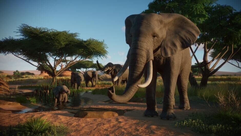 Скриншот 1 из Planet Zoo: Console Edition