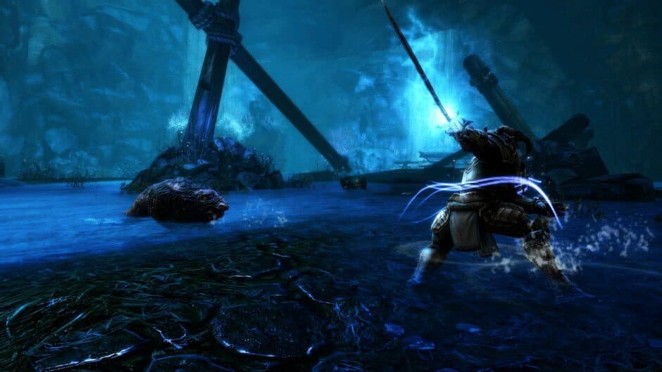 Скриншот 5 из Kingdoms of Amalur: Re-Reckoning - Collector's Edition