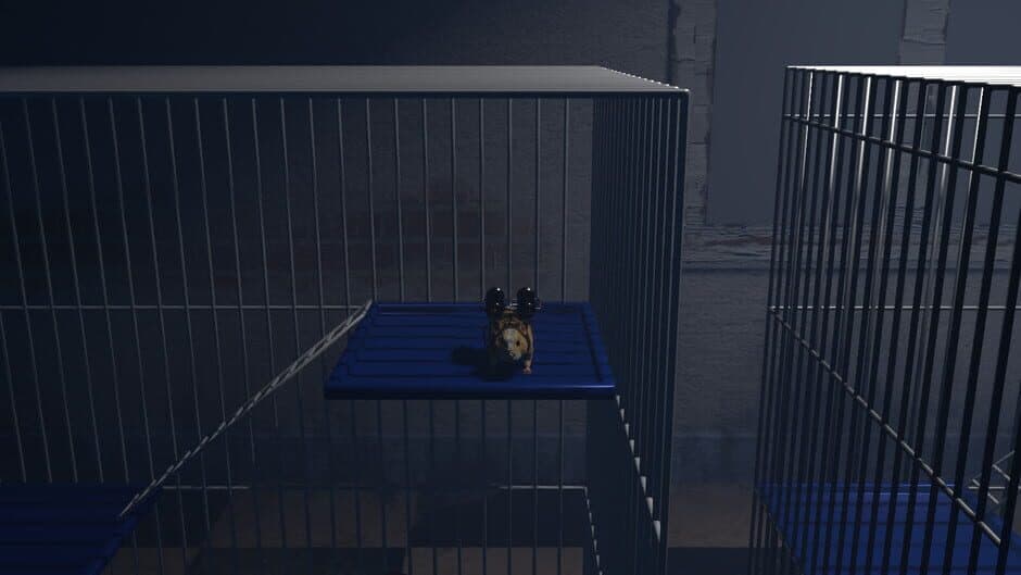 Скриншот 5 из Guinea Pig