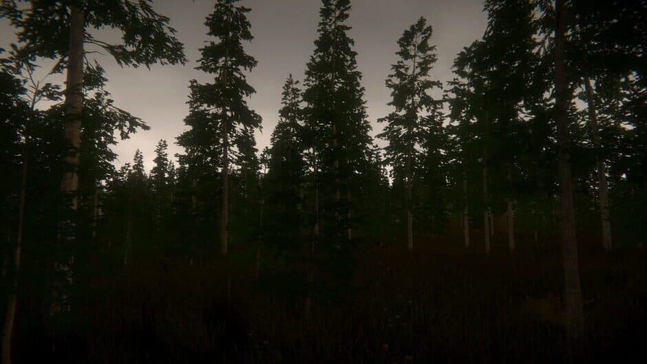 Скриншот 4 из Pastor's Lake: The Game