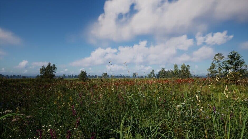 Скриншот 1 из Russian Soul Simulator