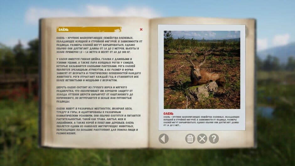 Скриншот 8 из Russian Soul Simulator