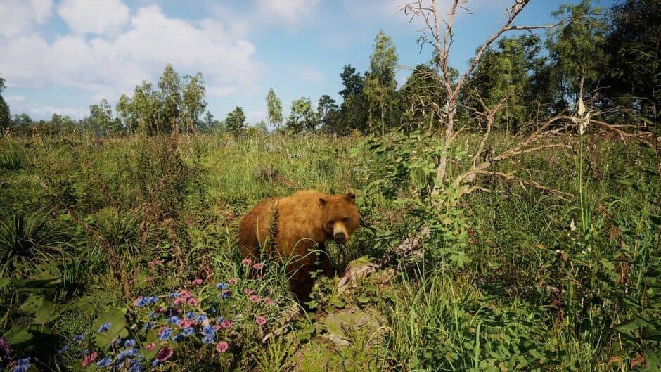Скриншот 11 из Russian Soul Simulator