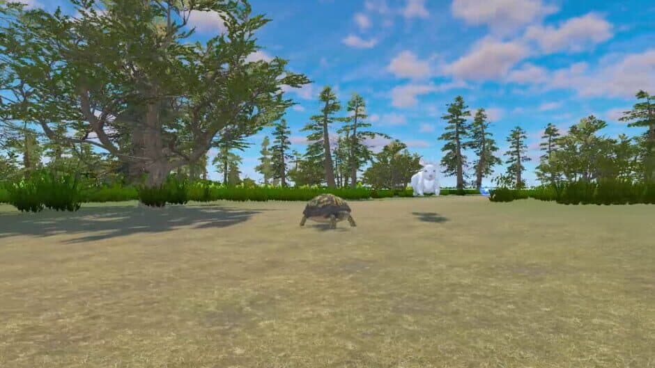 Скриншот 2 из Rabbit and Turtle