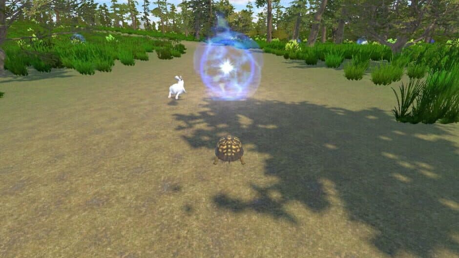 Скриншот 3 из Rabbit and Turtle