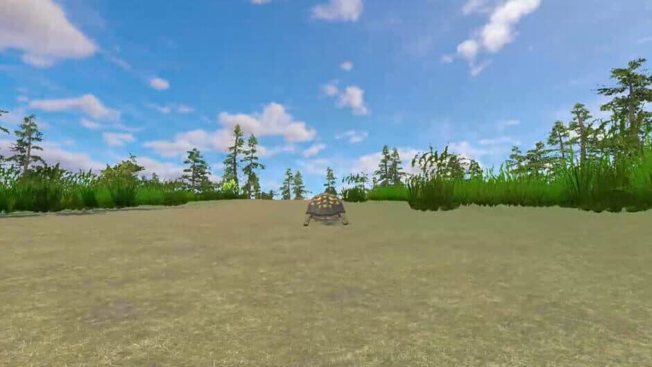 Скриншот 4 из Rabbit and Turtle