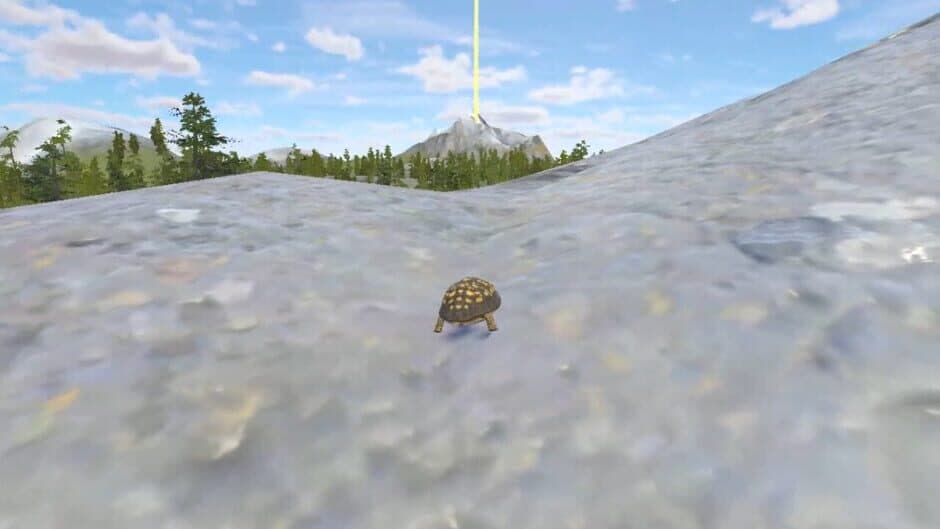 Скриншот 1 из Rabbit and Turtle