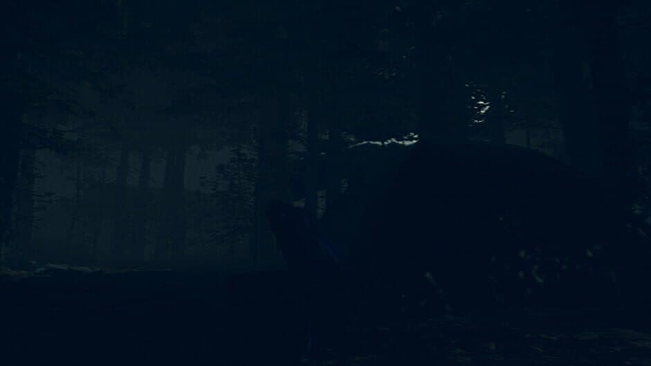 Скриншот 2 из The Children of The Woods: Lost Tape
