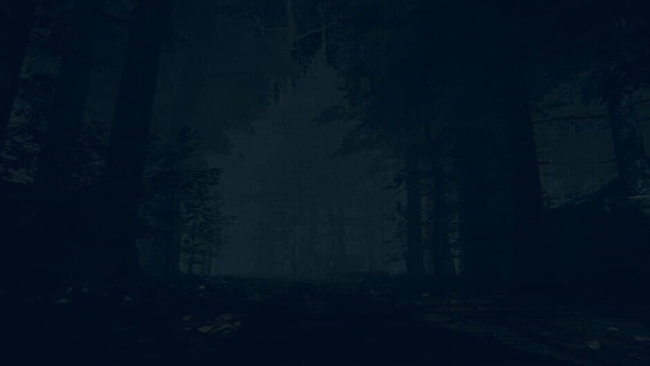 Скриншот 4 из The Children of The Woods: Lost Tape
