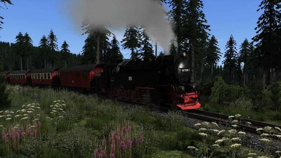 Скриншот 10 из Train Simulator Classic: Brockenbahn - Wernigerode: Brocken Route