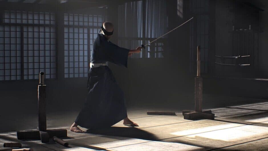 Скриншот 11 из Kendo Warrior