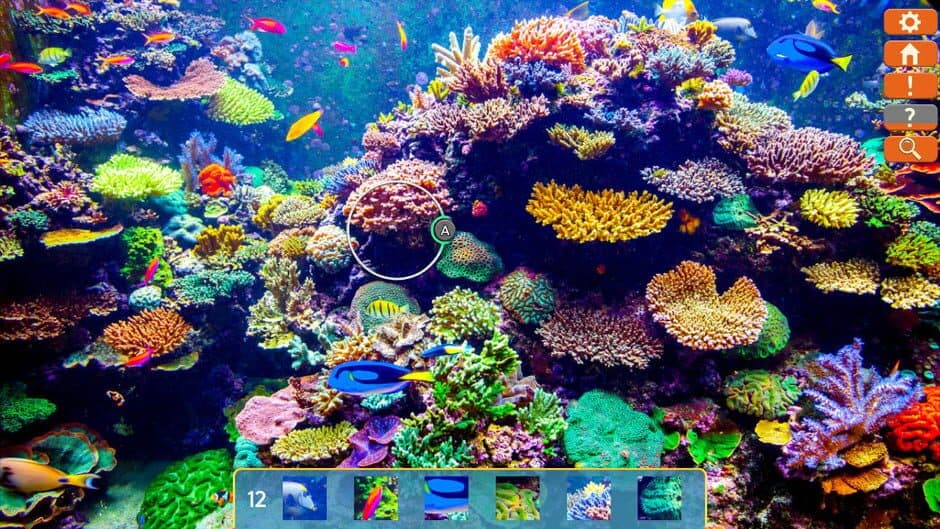 Скриншот 2 из Just Find It: Collector's Edition