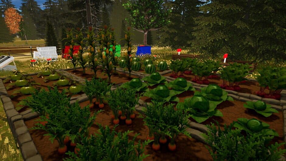 Скриншот 2 из Countryside Life Simulator