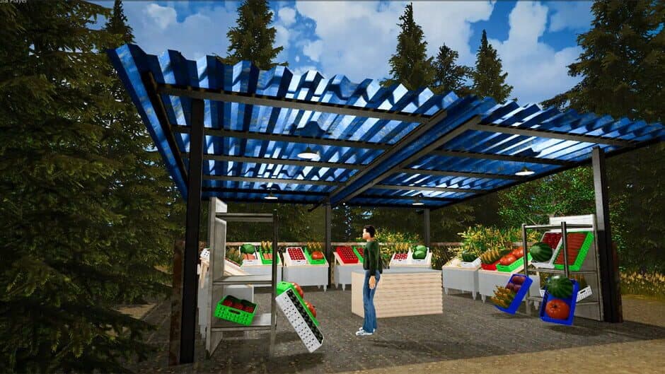 Скриншот 3 из Countryside Life Simulator
