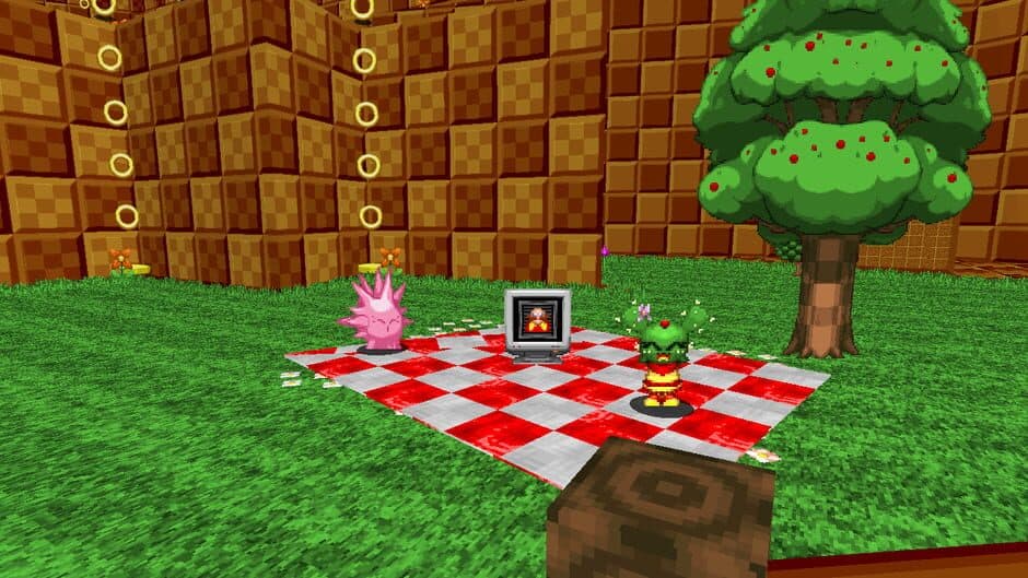 Скриншот 2 из Sonic Robo Blast 2: Cacee "Kiwi" Cactus