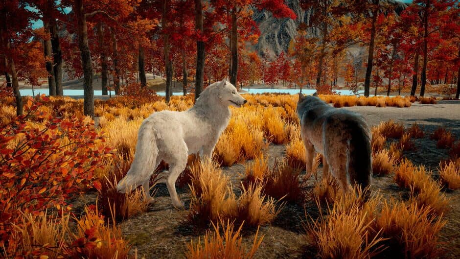 Скриншот 4 из Wolf Survival