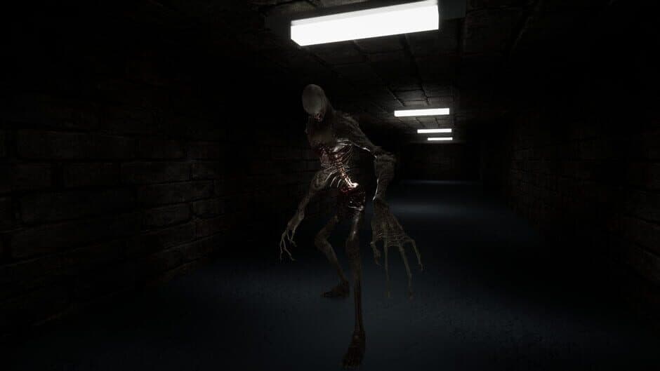 Скриншот 1 из The Corridors
