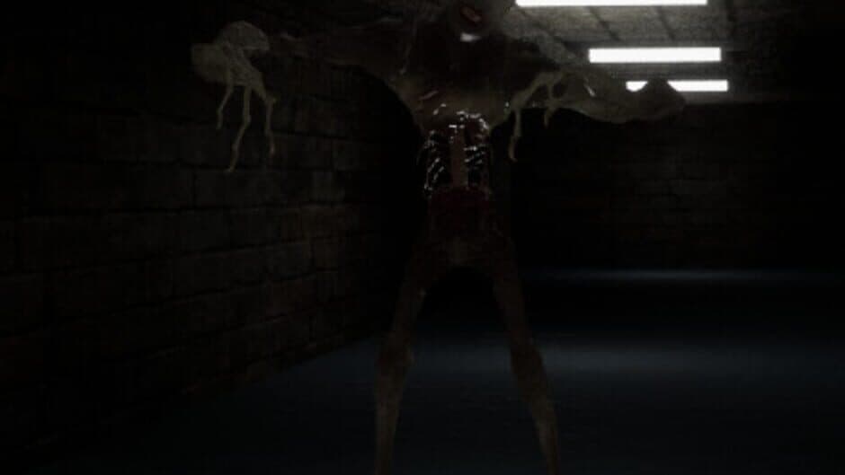 Скриншот 2 из The Corridors