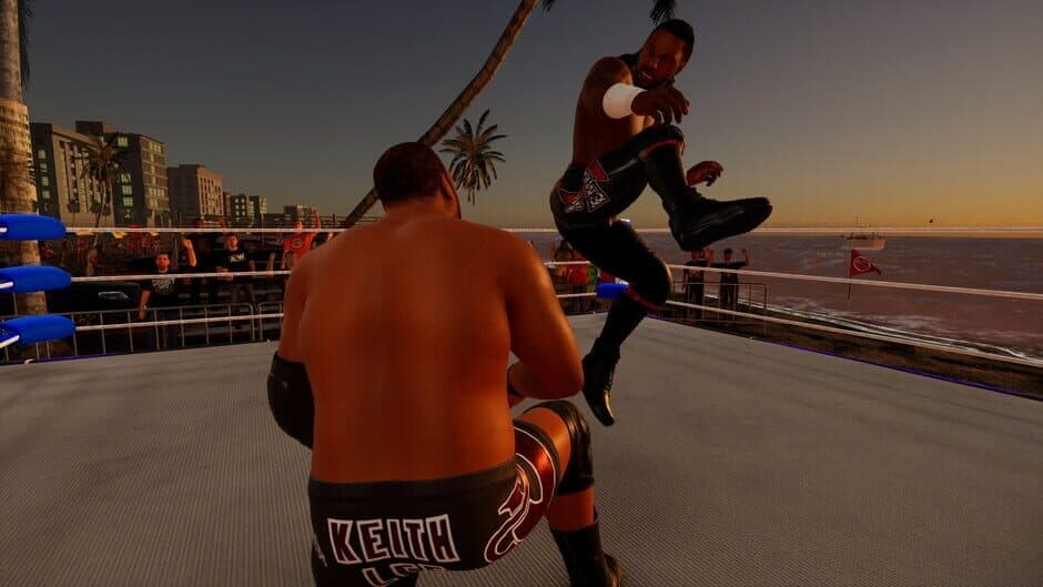 Скриншот 2 из All Elite Wrestling: Fight Forever - Swerve to the Beach