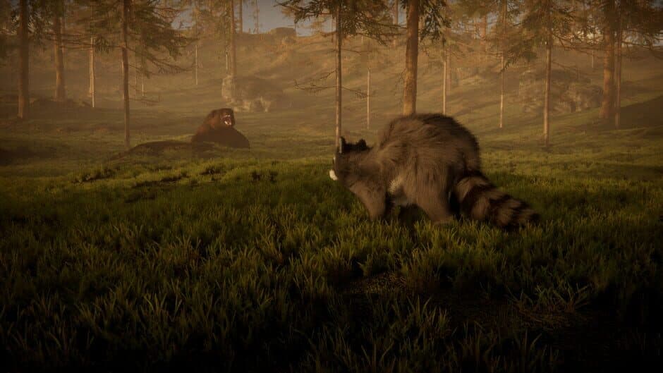 Скриншот 1 из Twilight Tails