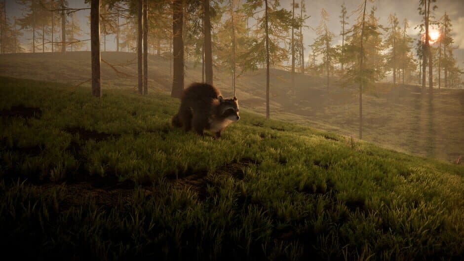 Скриншот 3 из Twilight Tails