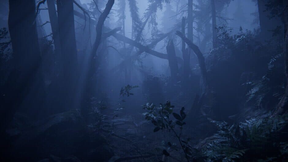 Скриншот 4 из Together After Dark