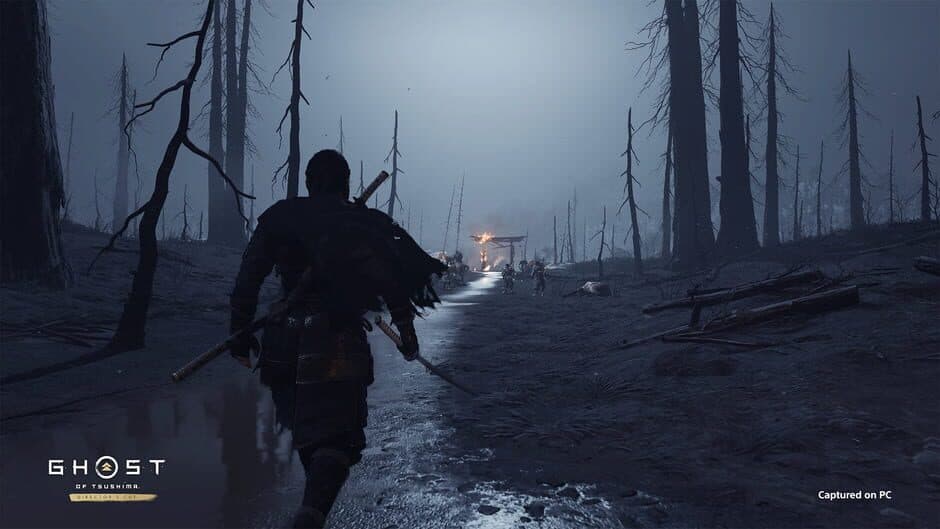 Скриншот 8 из Ghost of Tsushima: Director's Cut