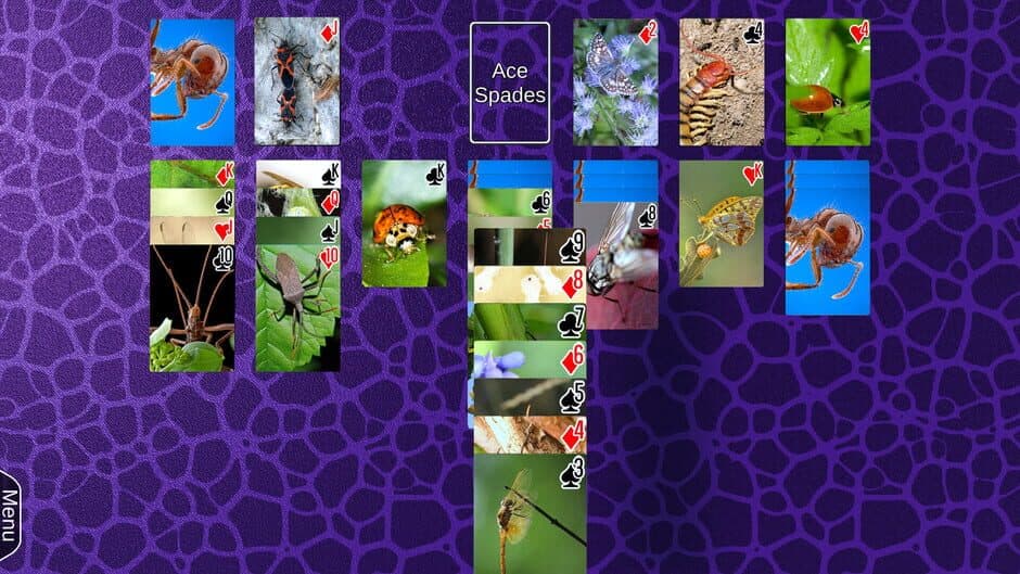 Скриншот 11 из Wyvern Studios Solitaire: 30th Aniversary Edition