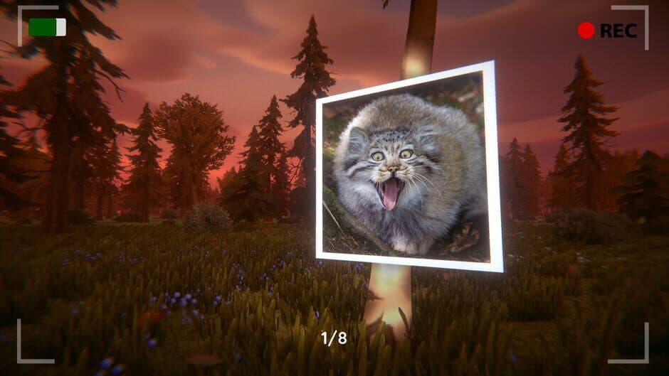 Скриншот 1 из Floppa: The Dark Forest