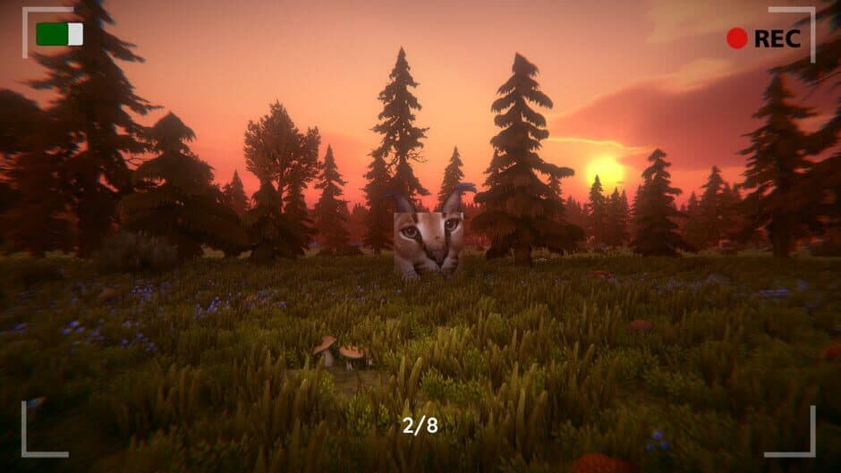 Скриншот 3 из Floppa: The Dark Forest