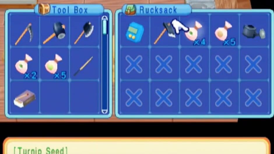 Скриншот 8 из Harvest Moon: Magical Melody