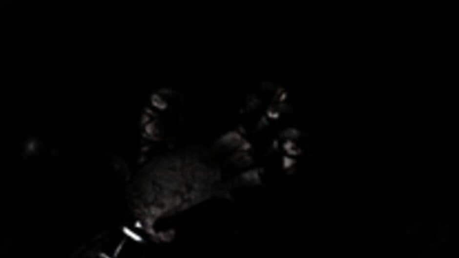 Скриншот 5 из Five Nights at Fredbear's