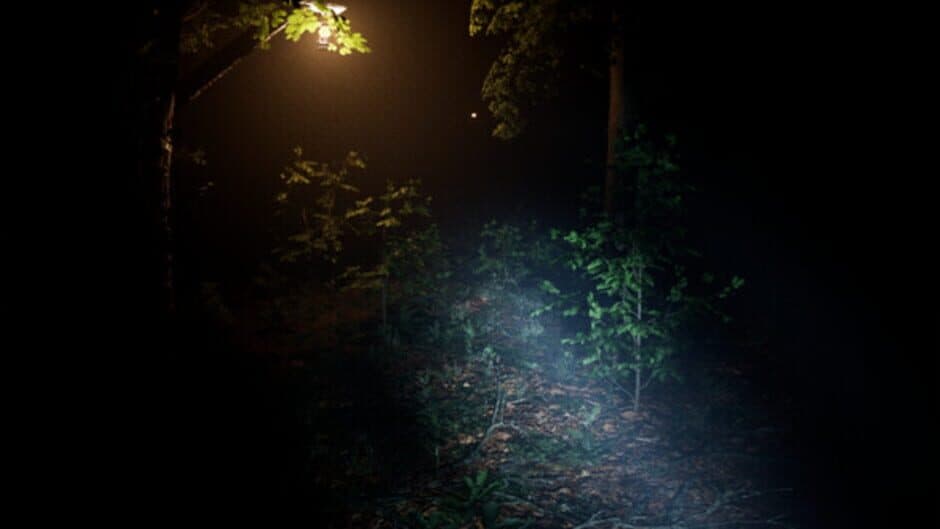 Скриншот 3 из Exanimum: The Silent Call