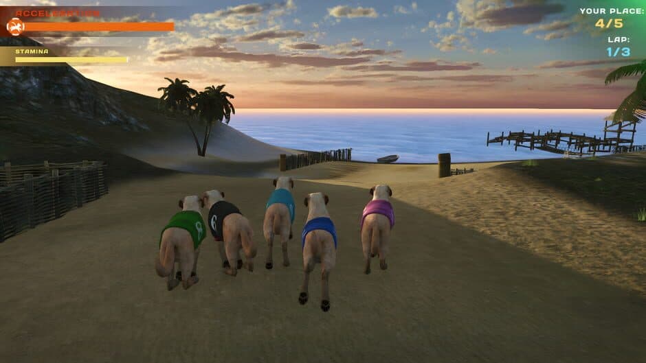 Скриншот 5 из Dog Racing: Lovely Pet Friends Paw