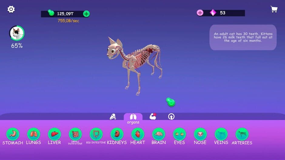 Скриншот 2 из Idle Animal Anatomy