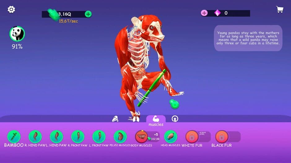 Скриншот 1 из Idle Animal Anatomy