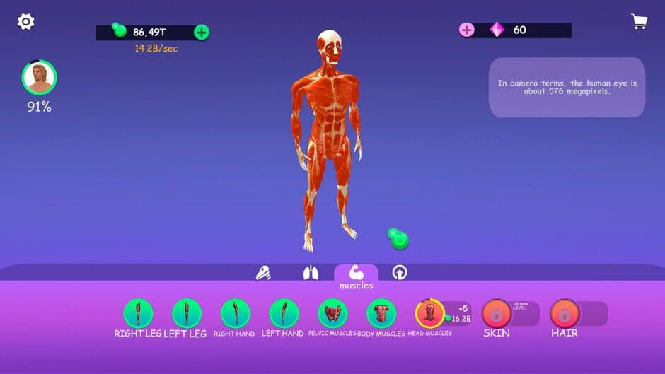 Скриншот 4 из Idle Animal Anatomy