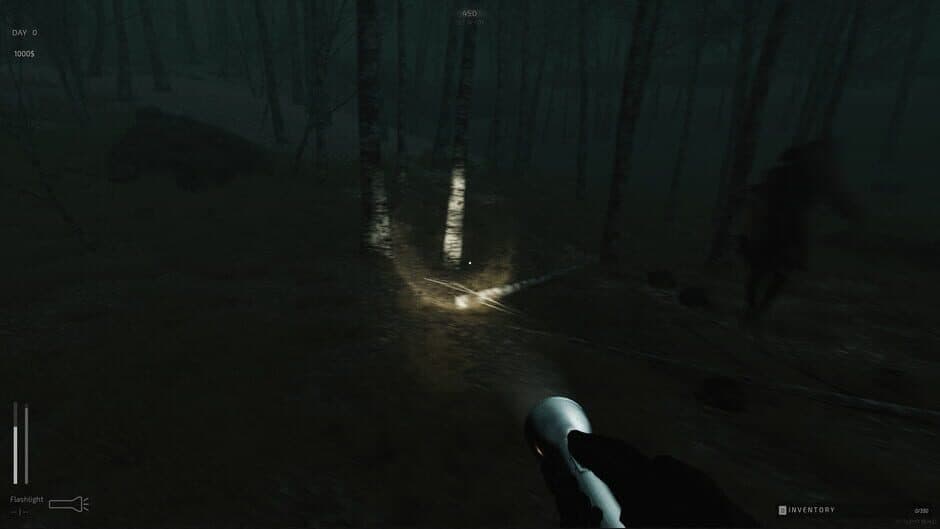 Скриншот 5 из Descending The Woods