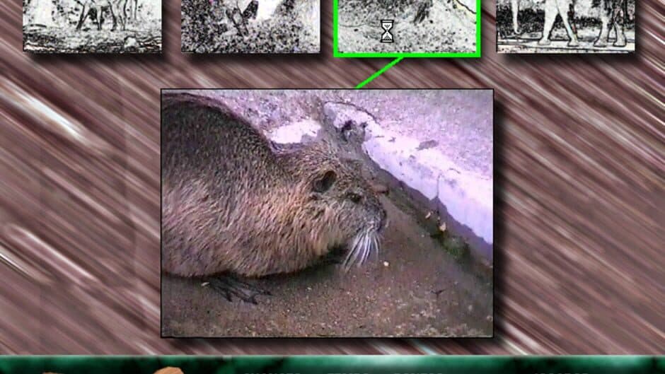 Скриншот 7 из Angélica no Reino Animal