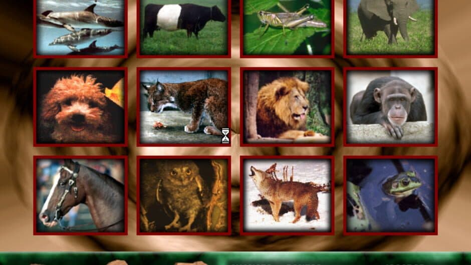 Скриншот 5 из Angélica no Reino Animal