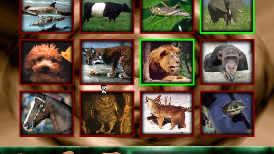 Скриншот 12 из Angélica no Reino Animal