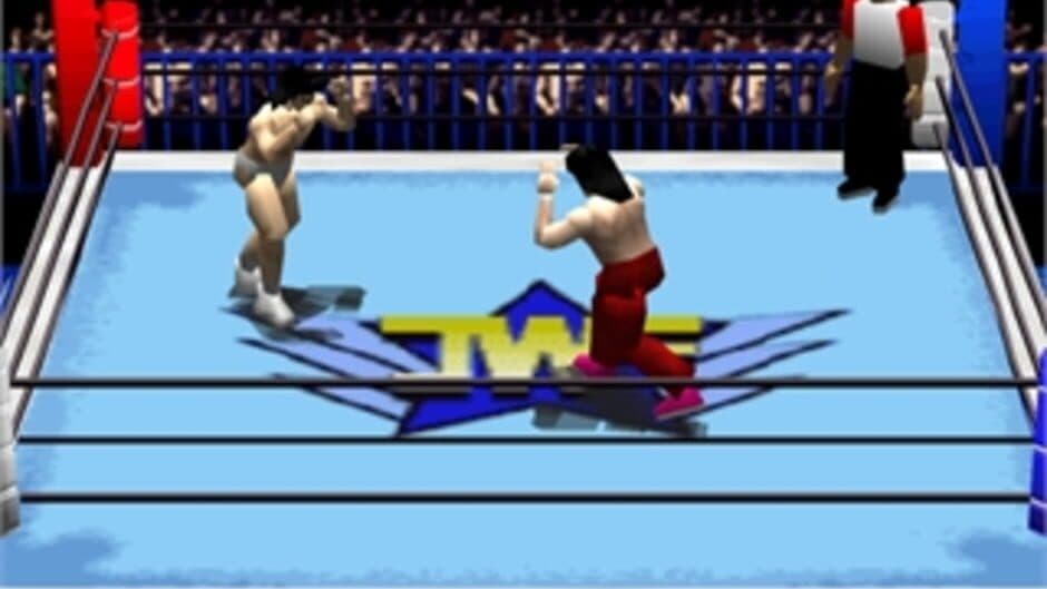 Скриншот 1 из Pro Wrestling Sengokuden: Hyper Tag Match