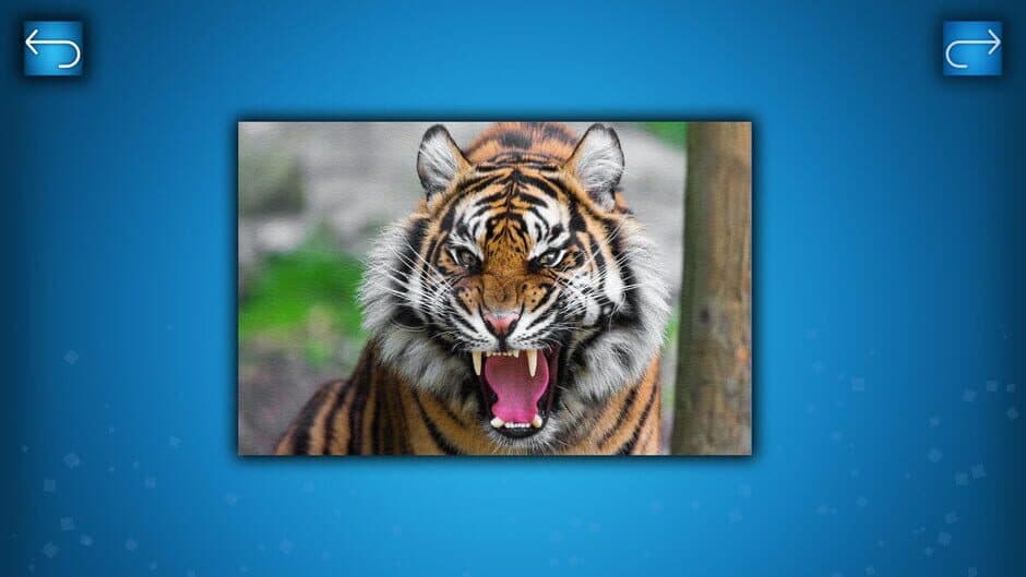 Скриншот 6 из Puzzle: Animals