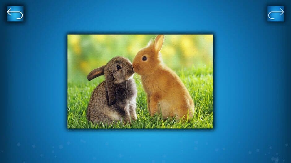 Скриншот 1 из Puzzle: Animals