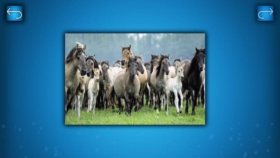 Скриншот 3 из Puzzle: Animals