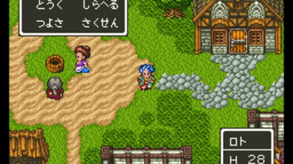Скриншот 3 из Dragon Quest VI: Maboroshi no Daichi